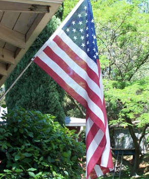 Backyard USA Flag